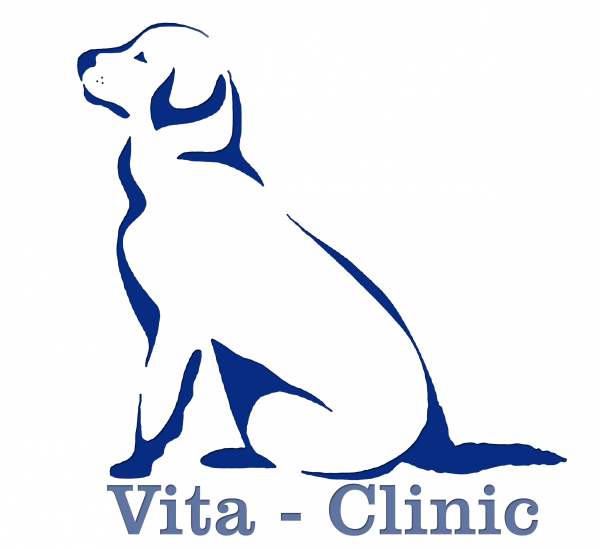 Логотип компании Вита-Клиник