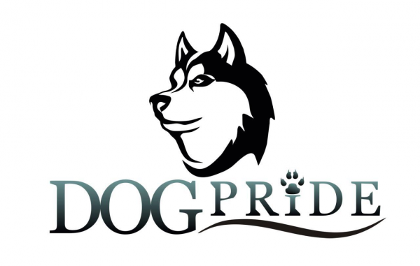 Логотип компании Кинологический тренинговый центр DogPride