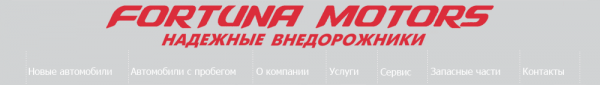 Логотип компании Фортуна Моторс