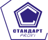 Логотип компании Стандарт-ДВ