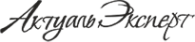 Логотип компании Актуаль Эксперт