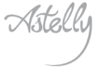 Логотип компании Astelly