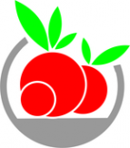Логотип компании Снэк