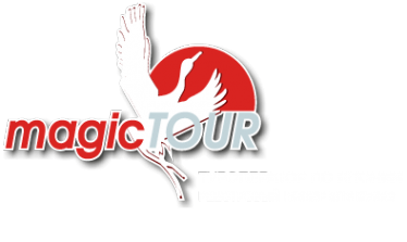 Логотип компании Мейджик тур