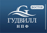 Логотип компании РСУ-ДВ